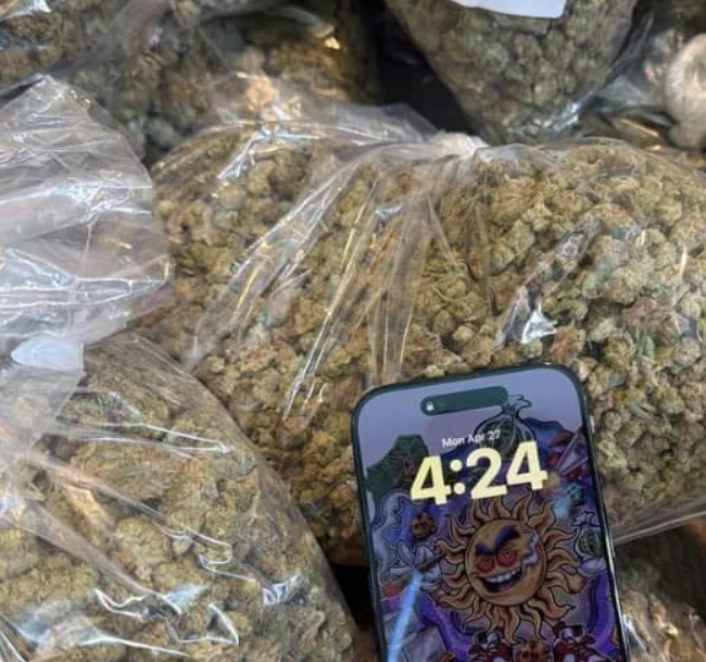 Frozenhashish.com